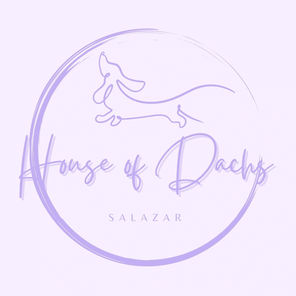 Logo House Of Dachs